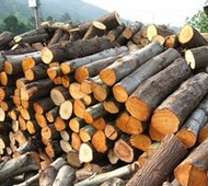 �Ї����һ���ľ�����㴻ľ