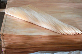 �W�����ΰ�