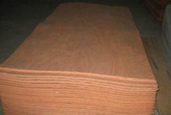 �W�����ΰ�