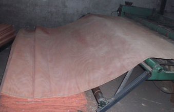 奧古曼面皮 奧古曼面皮