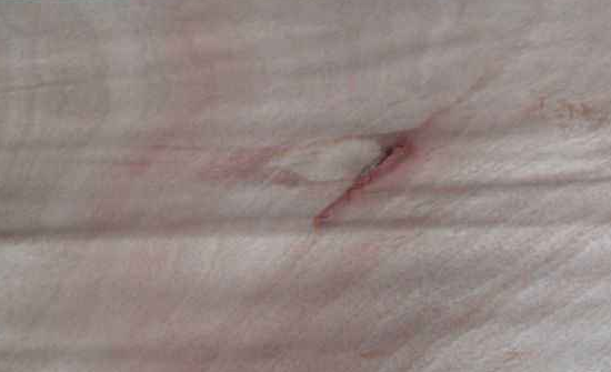 �W����ľƤ���a(ch��n)�S��