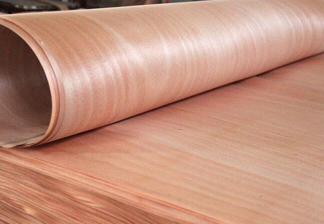 10-50�z�W������Ƥ