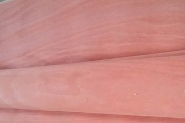 奧古曼木皮 奧古曼木皮