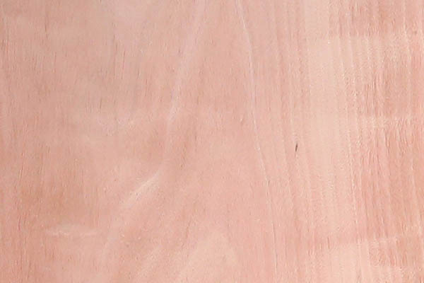 奧古曼木皮 奧古曼木皮