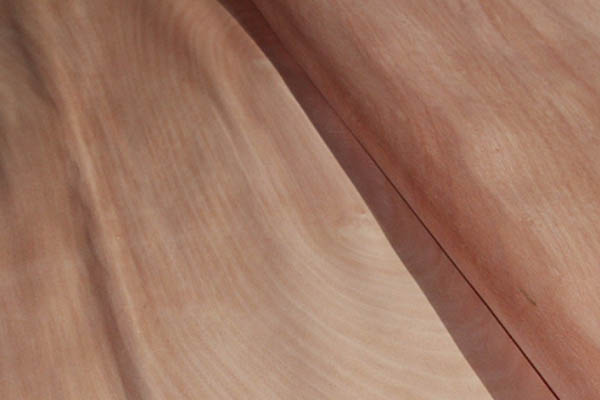 �W�����ΰ�