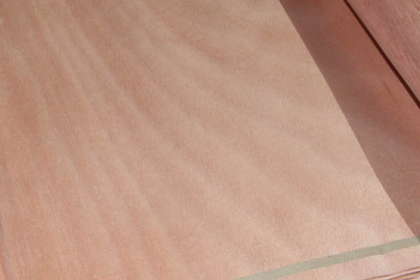 �W�����ΰ�