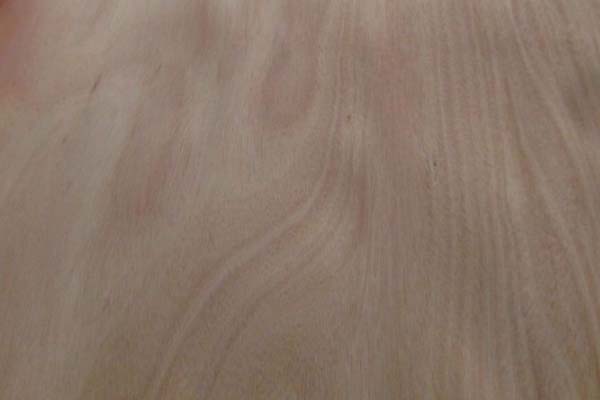 奧古曼單板 奧古曼單板