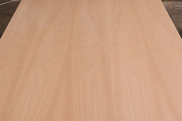 奧古曼面皮 奧古曼面皮