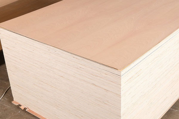 奧古曼面皮 奧古曼面皮