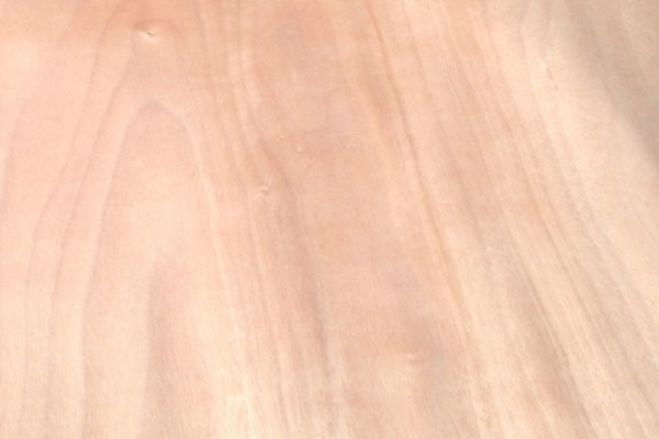 奧古曼單板 奧古曼單板