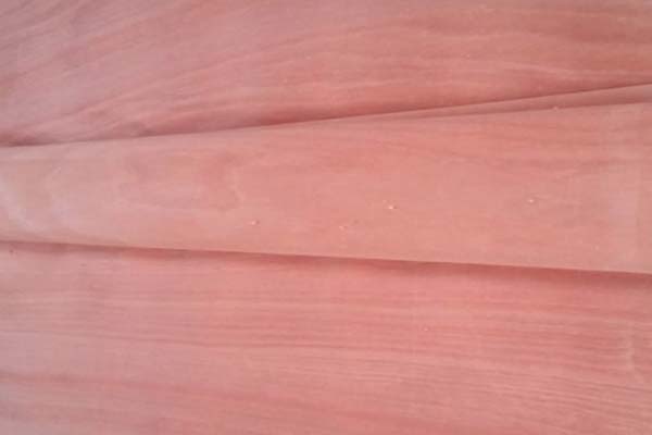 桃花芯面皮 桃花芯面皮