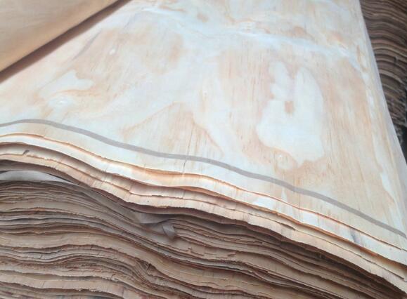 桃花心木皮 桃花心木皮