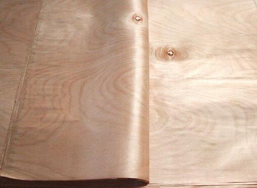 奧古曼單板 奧古曼單板