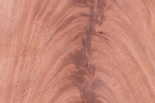 奧古曼面皮 奧古曼面皮