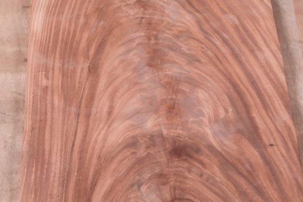 奧古曼面皮 奧古曼面皮