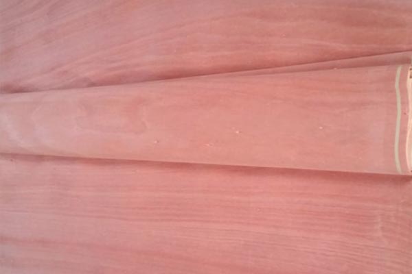 奧古曼面皮 奧古曼面皮