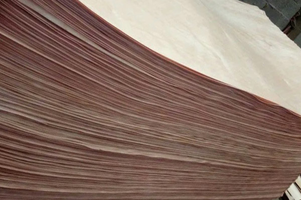 奧古曼單板 奧古曼單板