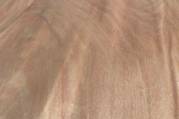 奧古曼單板 奧古曼單板