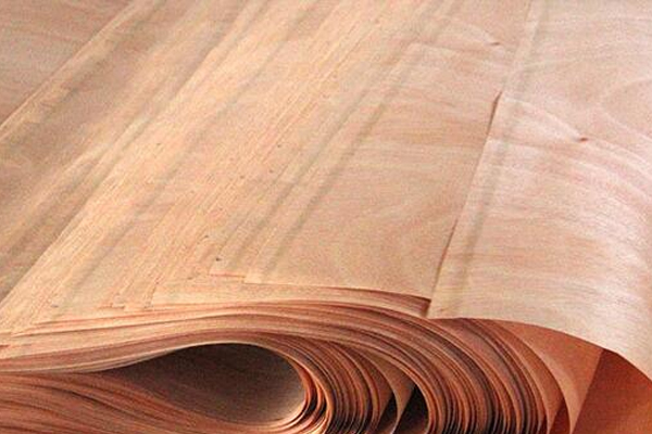 奧古曼單皮 奧古曼單皮