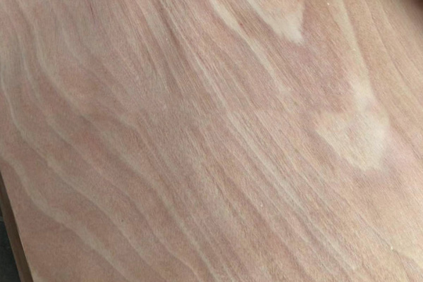 奧古曼單板 奧古曼單板