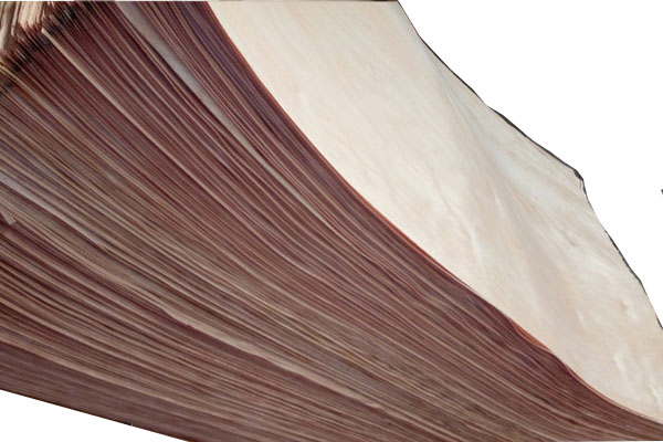 奧古曼單板 奧古曼單板