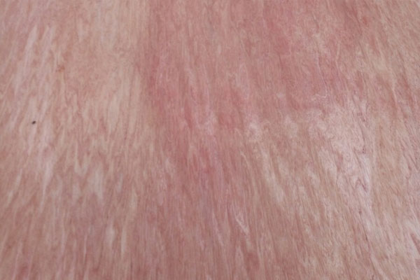 奧古曼單板 奧古曼單板