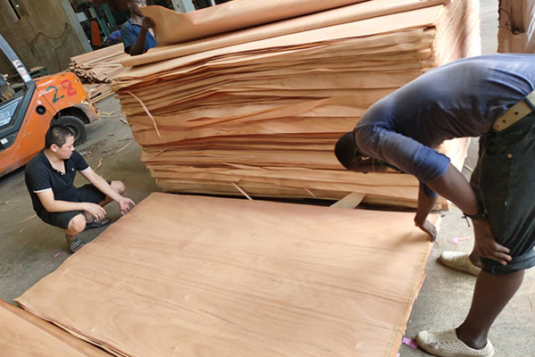 4*8���һ�о��Ƥ