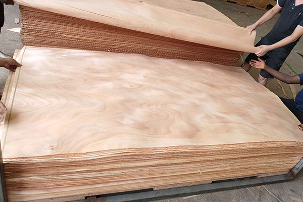 4*8�һ�о��Ƥ