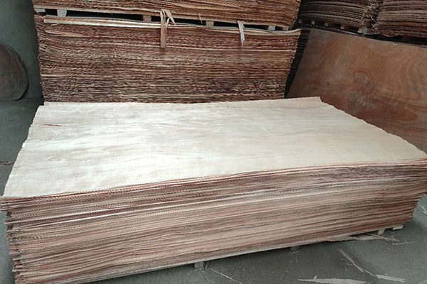 20�z�W������Ƥ