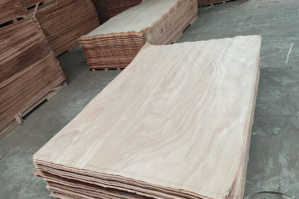 40�z�W������Ƥ