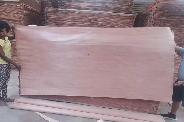 �?l��)?0-50�z�W������Ƥ