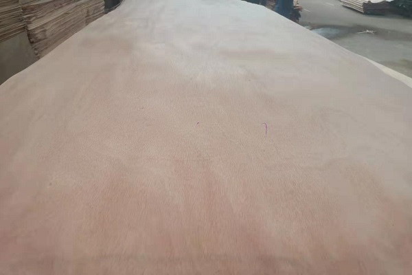 �?l��)?*8�W������Ƥ