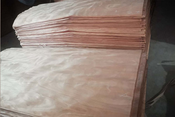 奧古曼單板 奧古曼單板