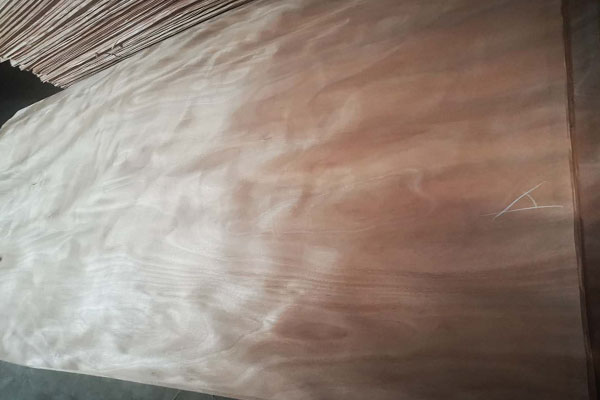 奧古曼單板 奧古曼單板