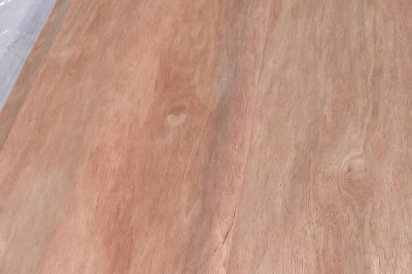 奧古曼面皮 奧古曼面皮