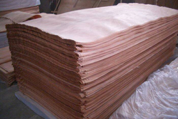 �����һ�оľ