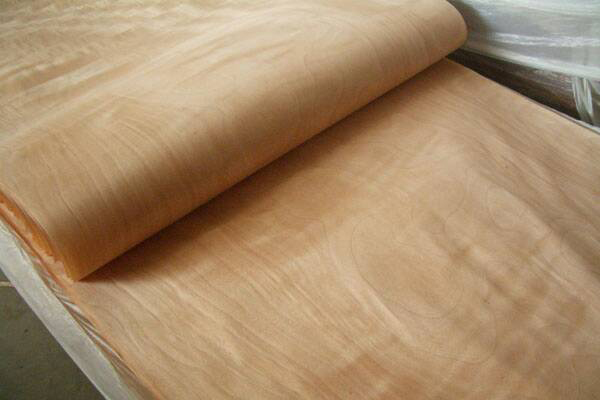 �����һ�оľ