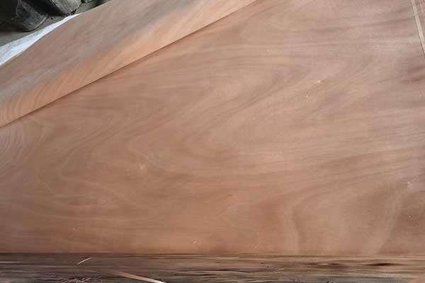 혷��һ�оľƤ