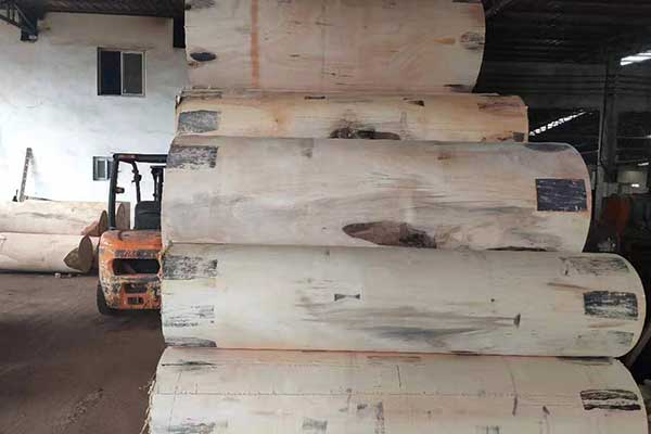 �W�����ΰ�