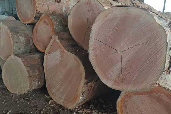 �W������Ƥԭ����