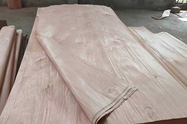 혷�30�z�һ�о��Ƥ