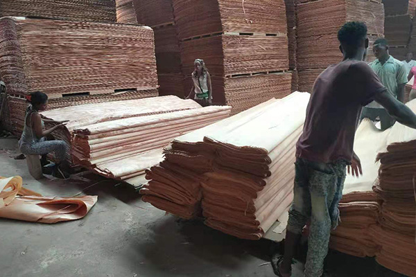 ���ޏS܇�g�L(f��ng)��һ�[