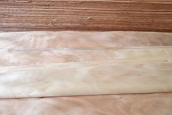 桃花芯單版 桃花芯單版